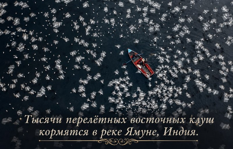 Объявлены победители конкурса «Аэрофотограф года»