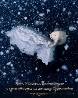 Иллюстрация 1