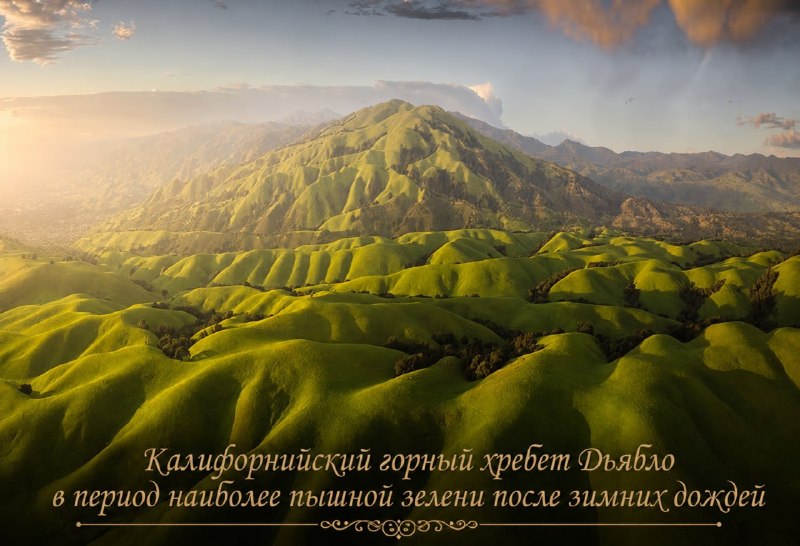 Иллюстрация 4