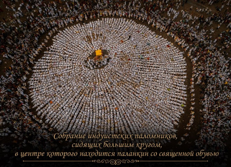 Иллюстрация 5