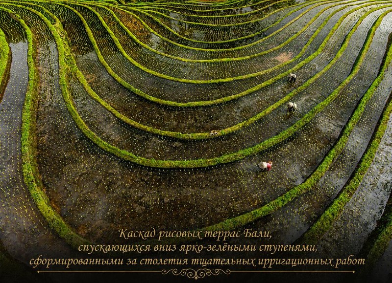 Иллюстрация 6