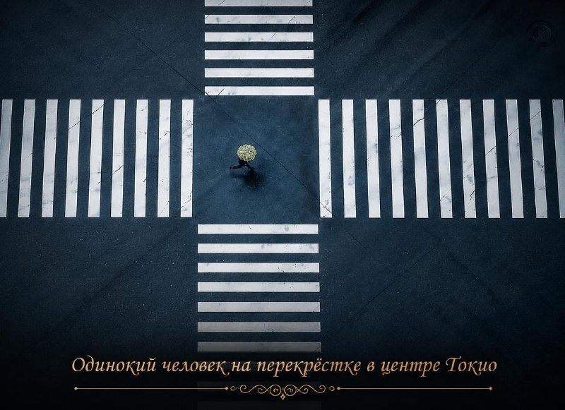 Иллюстрация 7