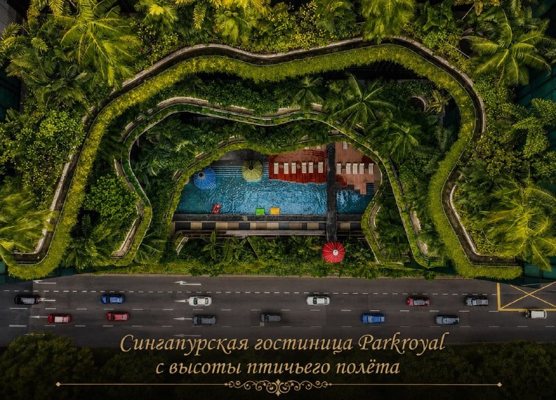 Иллюстрация 8