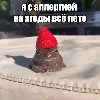Аллергологи разрешили детям есть клубнику, помидоры и желтые фрукты