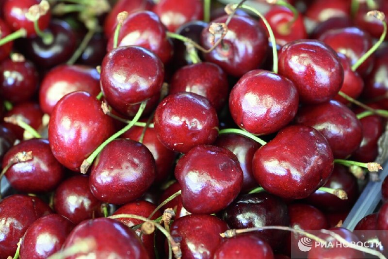 Врач назвала продукты, которые нельзя есть аллергикам летом