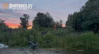 Мертвую рыбу из Аннинского озера обнаружили на незаконной свалке в Ленобласти
