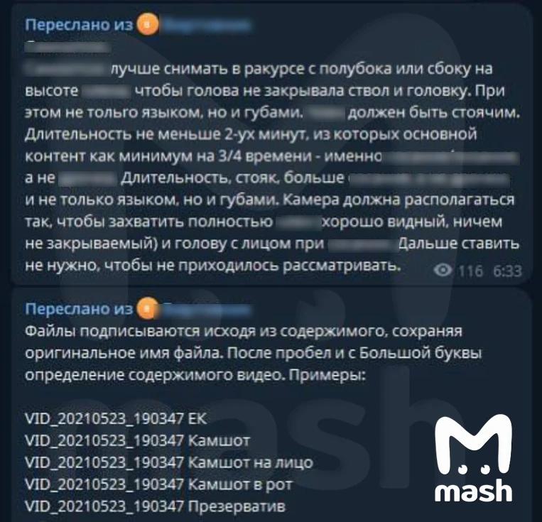 Администраторы сообщества «Империя гусей» обвиняются в организации преступной схемы с участием несовершеннолетних