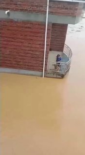 В Китае из-за паводка с фермы сбежали сотни змей, есть пострадавшие