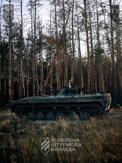 Иллюстрация 1