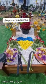 Иллюстрация 5