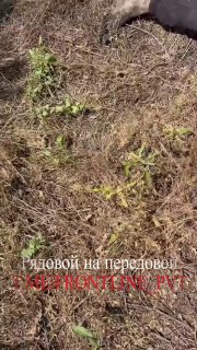 Обнаружено тело мирного жителя на Краматорско-Дружковском направлении