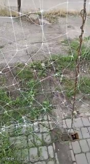 Последствия прилета российского FPV-дрона по пикапу в Сумах