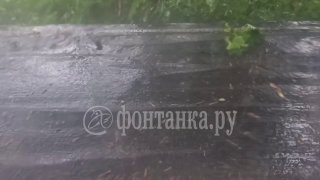 Град и гроза в Ленобласти и предупреждение МЧС для Санкт-Петербурга