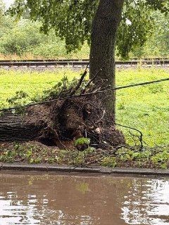Молния ударила в нескольких метрах от девушки под Питером