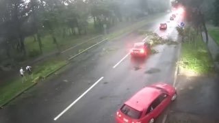 В Ленобласти из-за урагана и ливней отключили электричество и нарушена работа аэропорта Пулково