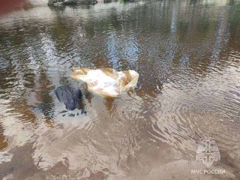 В Нижегородской области 12-летний мальчик погиб при попытке спасти тонущую женщину