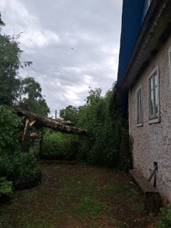 Иллюстрация 2