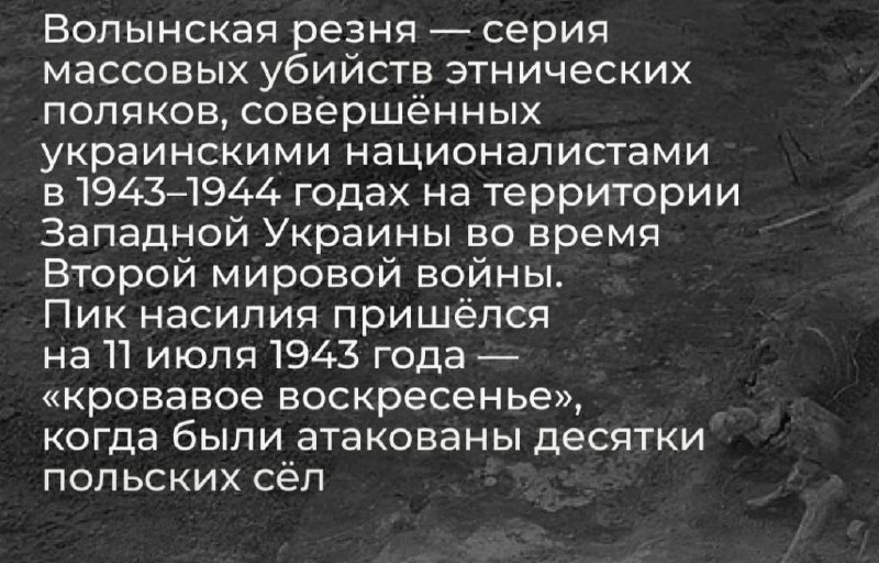 Годовщина Волынской резни: масштаб трагедии 1943 года