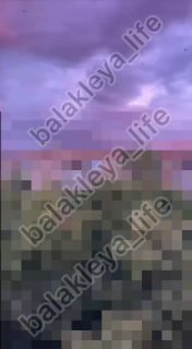 Иллюстрация 1