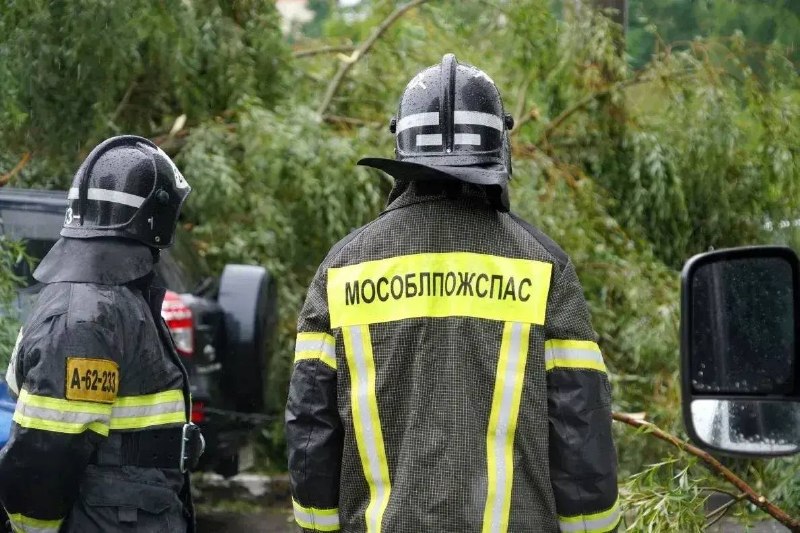 В Подмосковье устраняют последствия штормового циклона