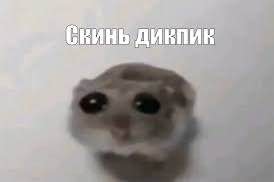 День отправки дикпиков отмечается сегодня