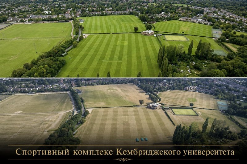 Иллюстрация 2