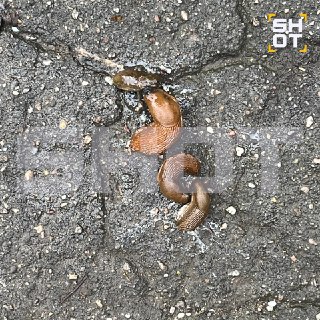 Иллюстрация 2