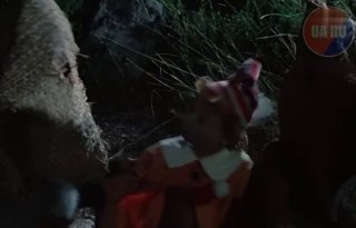 Страны ЕС требуют исключить МОК из программ финансирования из-за допуска россиян к спорту