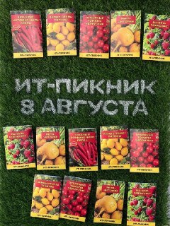 Иллюстрация 2
