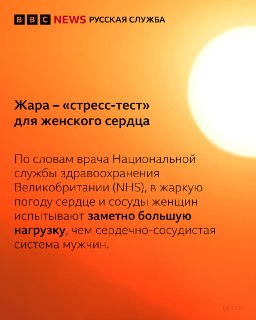 Иллюстрация 1