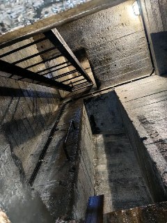 Иллюстрация 6