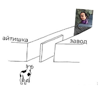 Рынок ИТ в России перенасыщен новичками: конкуренция растет, а зарплаты на популярных позициях падают