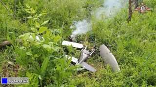 В районе Авдеевки уничтожен БЛА «Хорнет» ВСУ