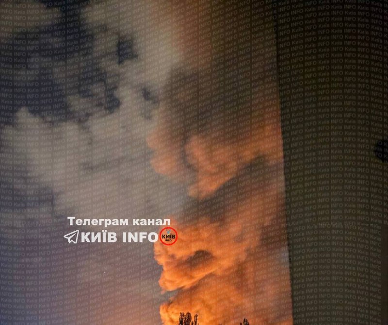 Иллюстрация 1