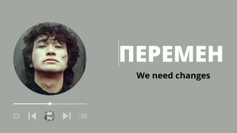 Судья из Киева применил оружие, защищая свое право слушать русскую музыку