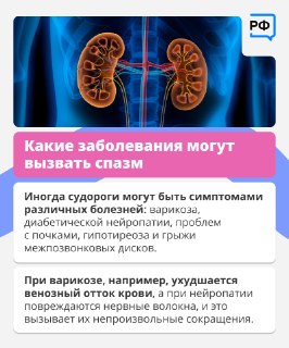Иллюстрация 5