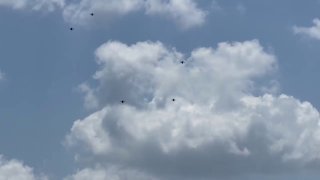 В Украину поставлена первая партия из 50 000 беспилотников Shrike от Auterion