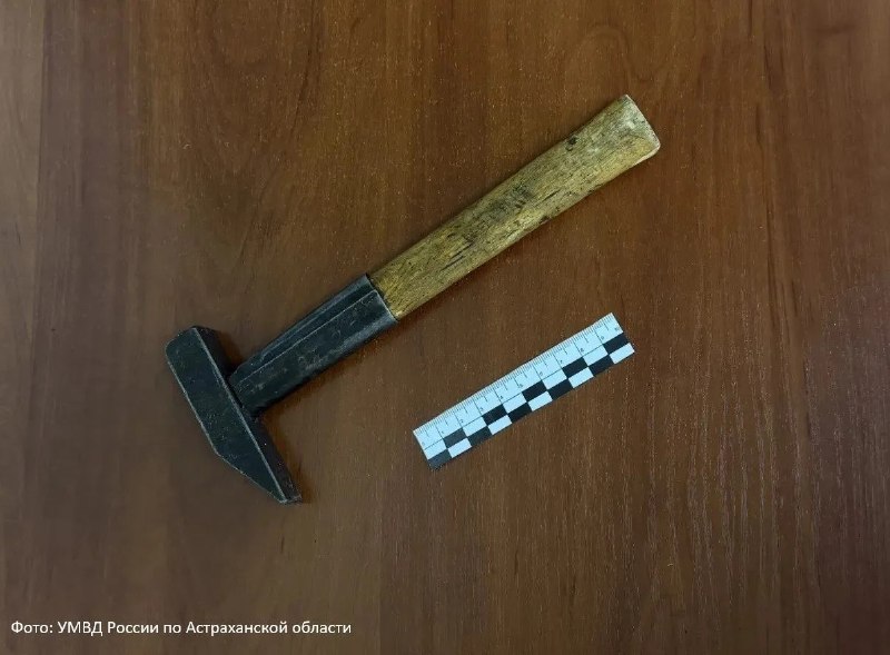 В Астраханской области таксист избил пассажира молотком из-за грязной одежды