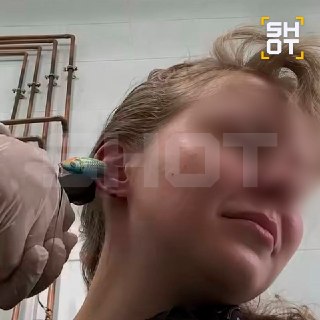 Иллюстрация 2