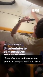 В Италии эвакуировали самолет из-за нашествия комаров