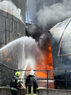 Иллюстрация 6
