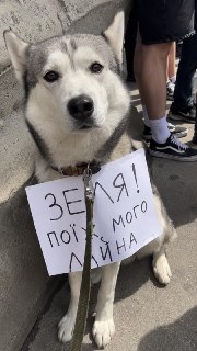 Иллюстрация 2