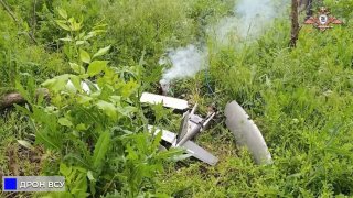 В районе Авдеевки уничтожен БПЛА «Хорнет» ВСУ