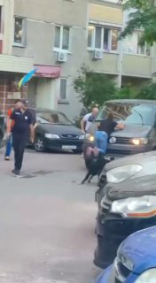 Распространяется видео с жесткими методами работы ТЦК в Украине