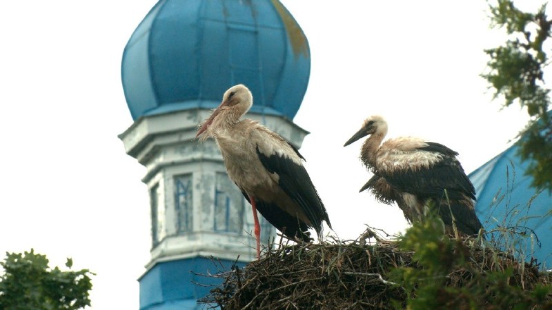 Иллюстрация 3
