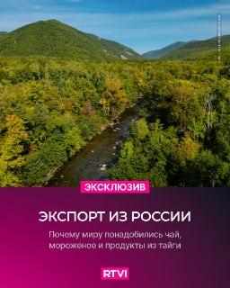 Зарубежный спрос на уникальные категории товаров из России растет