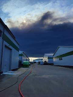 Иллюстрация 1