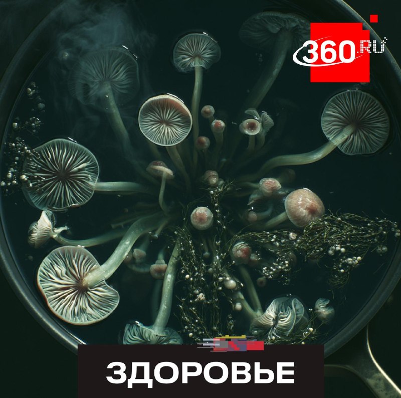 Термическая обработка не делает ядовитые грибы безопасными