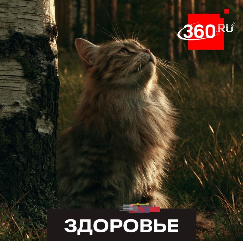 В России завершаются испытания высокоэффективной вакцины от аллергии