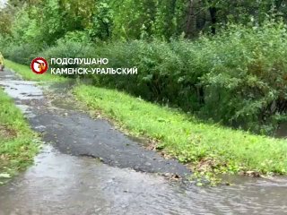 Иллюстрация 5